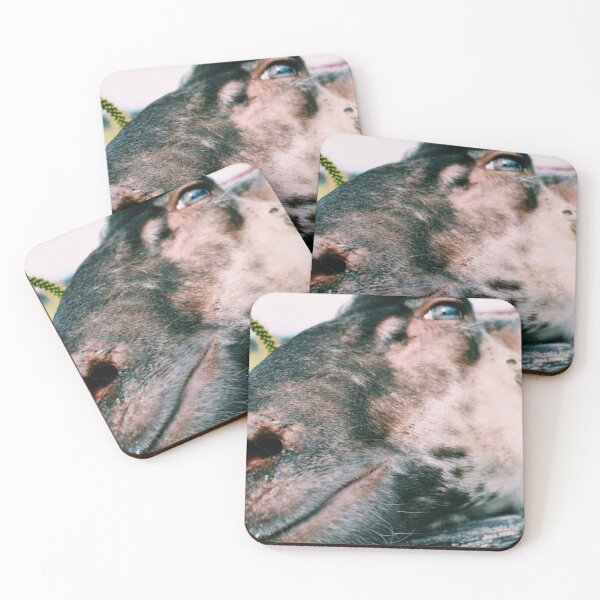 Item preview, sheep close up- beautiful eye designed and sold by Eliza Hartman.
