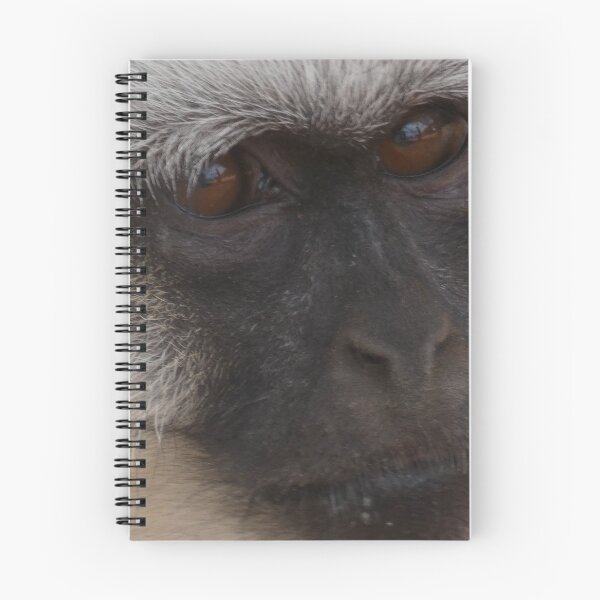 Item preview, Lonely Monkey designed and sold by bustrama.