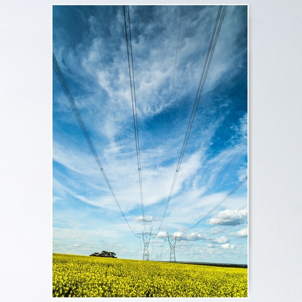 Item preview, Dramatic Sky & Canola designed and sold by robbo389.