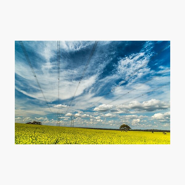 Item preview, Canola & Power Version 2 designed and sold by robbo389.