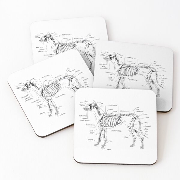 Item preview, Skeletal Anatomy of the Dog designed and sold by Numiere.