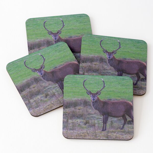 Item preview, Red Deer Stag the Monarch of the Glen designed and sold by DerickGray.