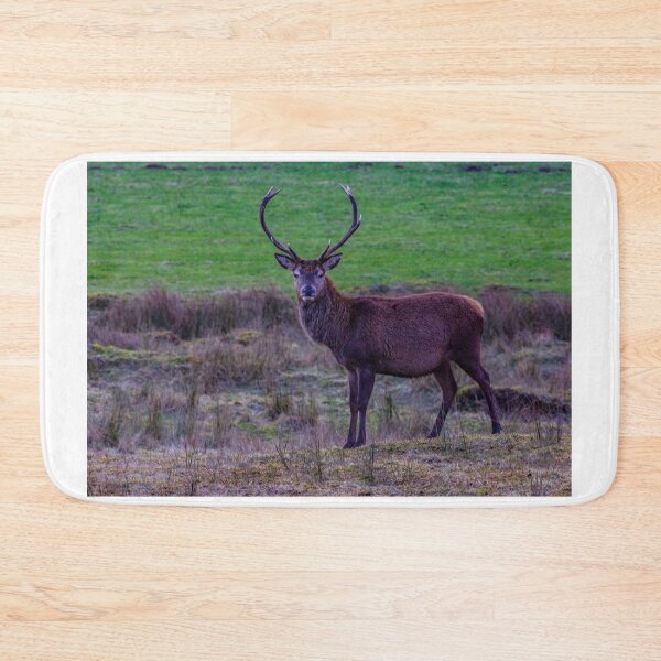 Item preview, Red Deer Stag the Monarch of the Glen designed and sold by DerickGray.