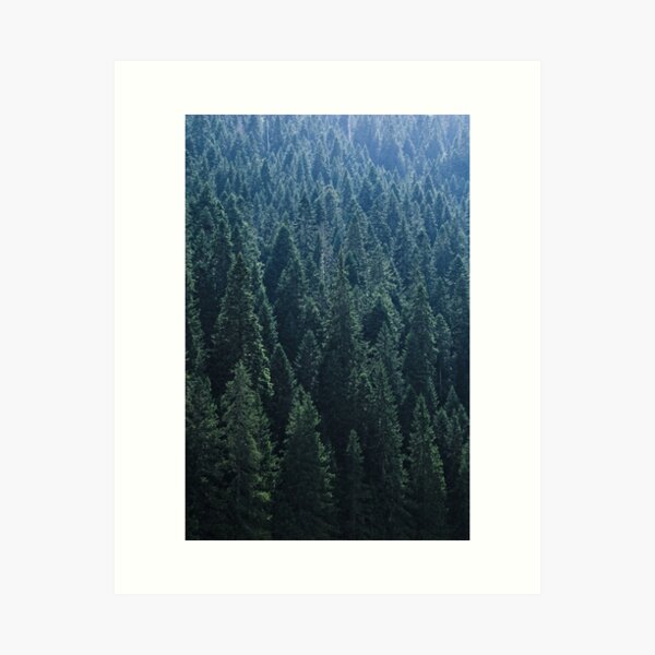 Item preview, Treetops in a coniferous forest designed and sold by Endorfin Garment.