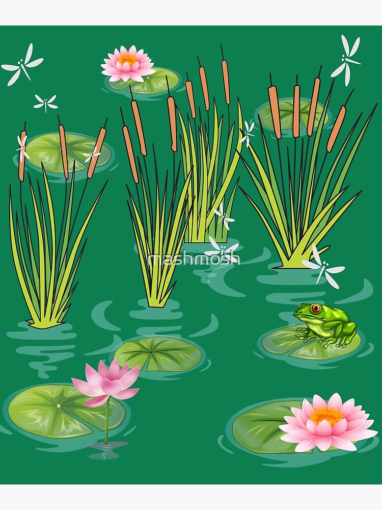 "water lilies and dragonflies with Frog on lily pad and cattails