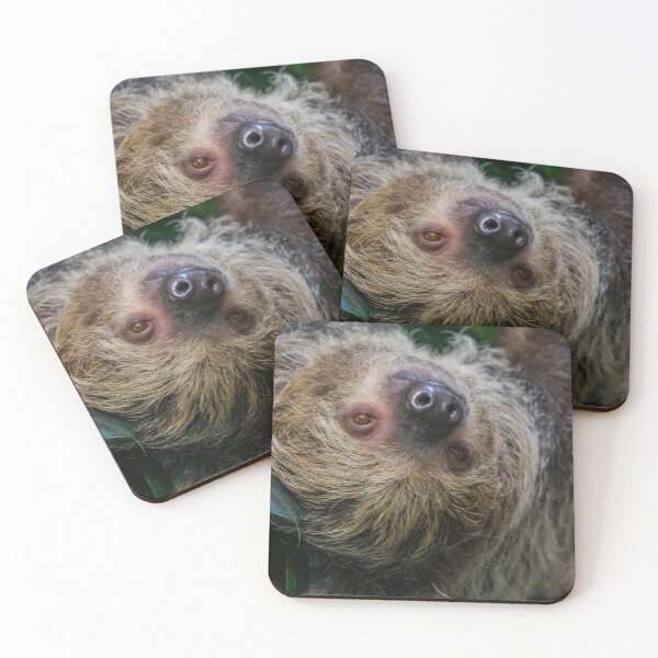 Item preview, Two-toed Sloth designed and sold by Darren Wilkes.