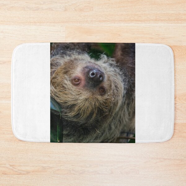 Item preview, Two-toed Sloth designed and sold by Darren Wilkes.
