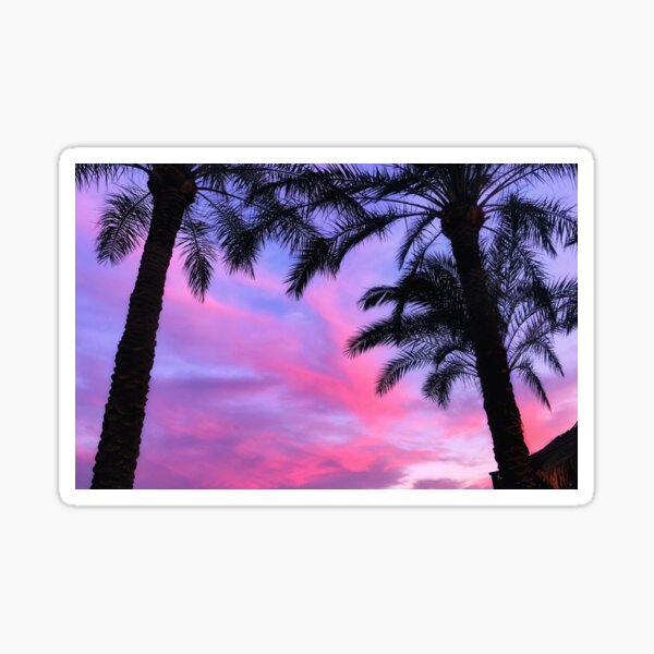 Hot Pink Rainbow Palm Trees With Glitter Stars - Palm Tree - Sticker