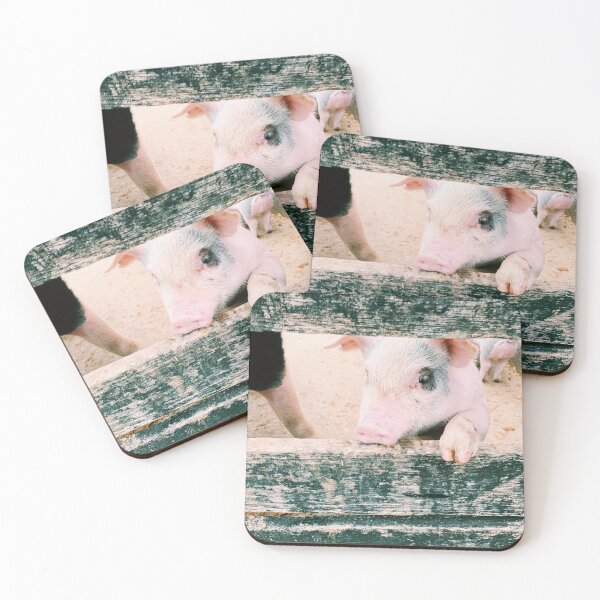 Item preview, piglet nibbling on fence board designed and sold by Eliza Hartman.