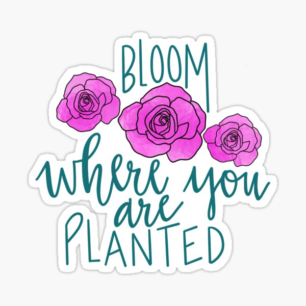 bloom where you are planted Sticker