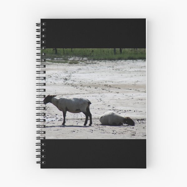 Item preview, Sheep and Wadden Sea designed and sold by Calidris Fotografie Steffi & Ben Köppler.