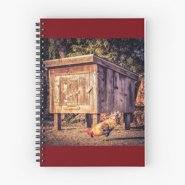 Item preview, Coop designed and sold by Caitlyn Grasso.
