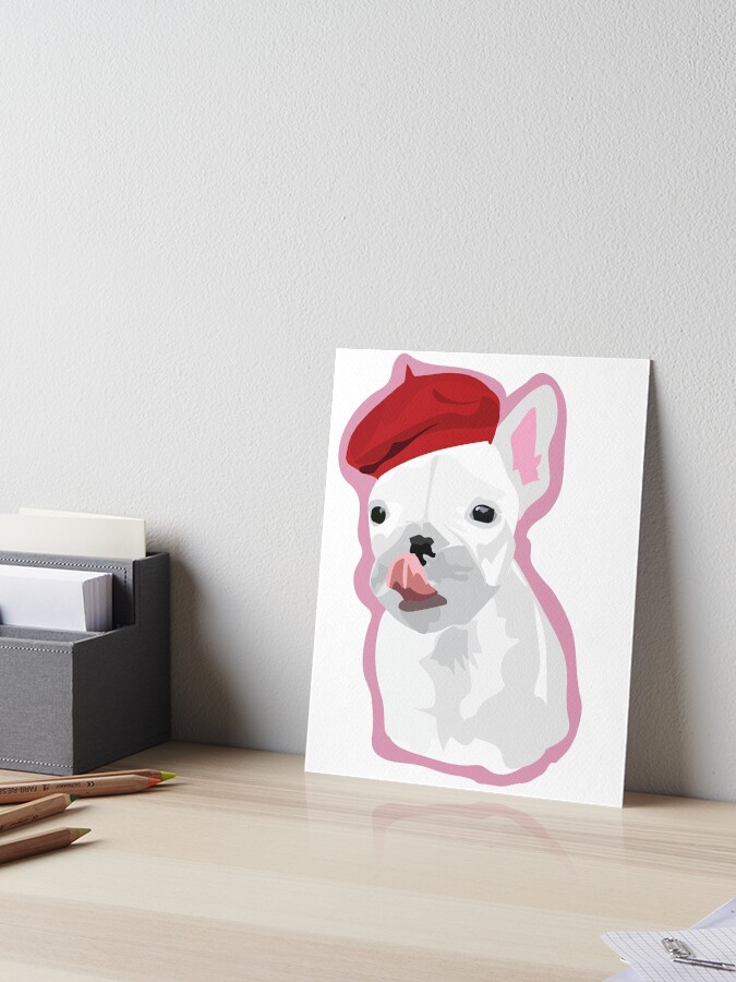 french bulldog with beret