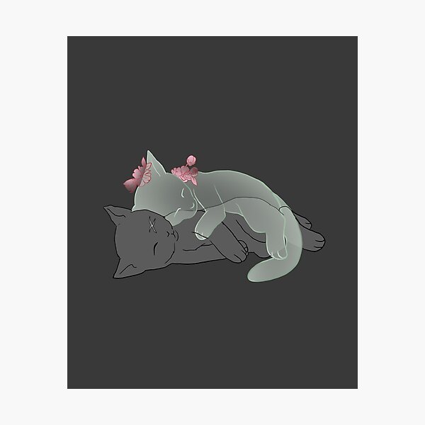 Guardian Kitten Photographic Print