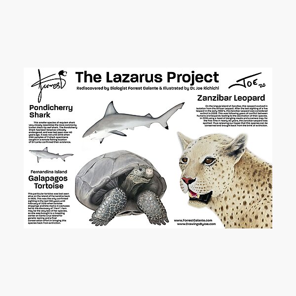 The Lazarus Project Photographic Print