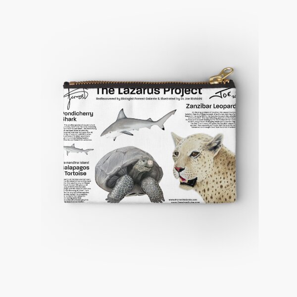 Item preview, The Lazarus Project designed and sold by Joe Richichi.