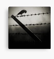 Life Is No Piece of Cake Canvas Print