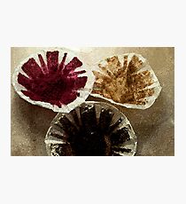 cupcakes Photographic Print