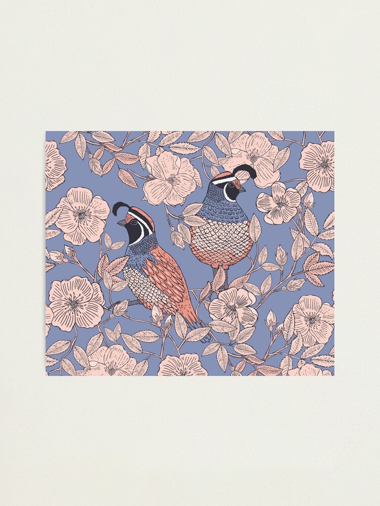 Alternate view of Quail and Wild Roses Photographic Print