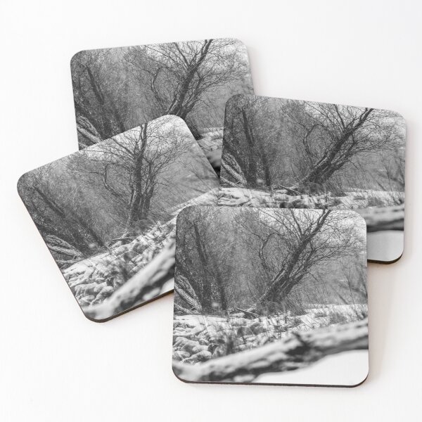 Item preview, Urban park in black and white. designed and sold by CanadianWild418.