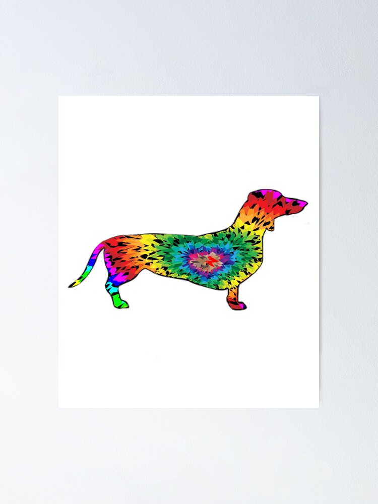 "Rainbow Tie Dye Dachshund Dog Lover Breeder Groomer Trainer" Poster for Sale by aship13a ...