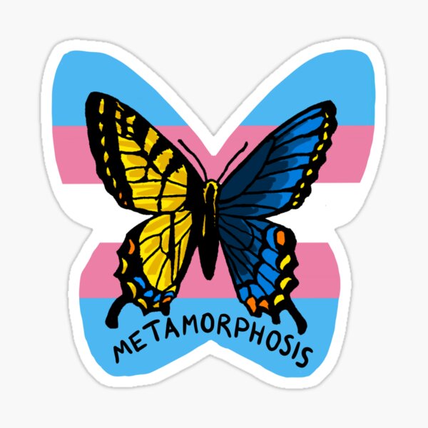 Metamorphosis Butterfly - Queer Zoology Series Sticker