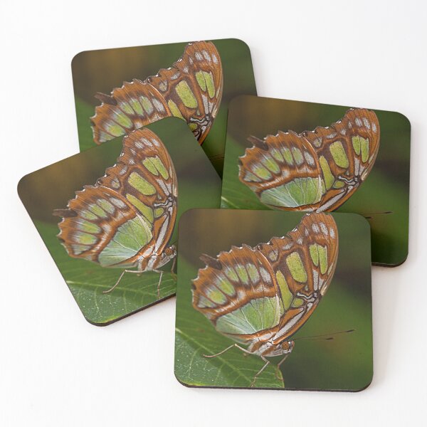 Item preview, Malachite Butterfly designed and sold by JMChown.