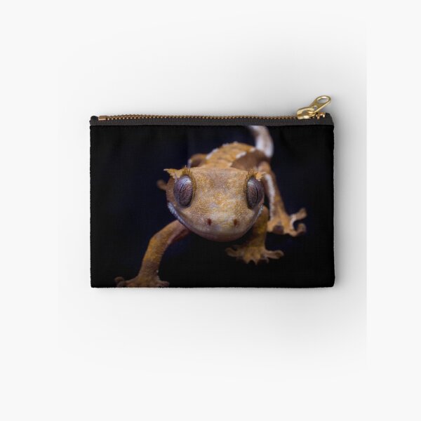 Item preview.