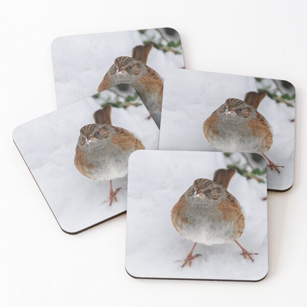 Item preview, Dunnock in snow, County Kilkenny, Ireland designed and sold by AndrewJonesFoto.