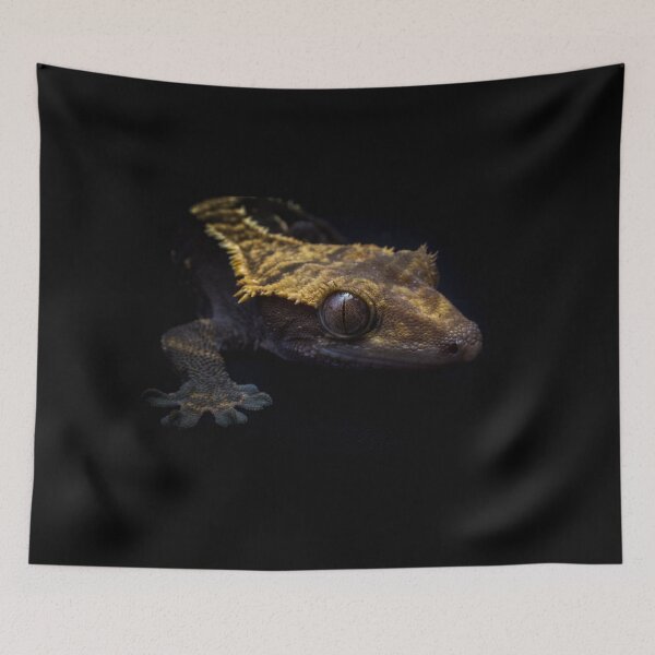 Item preview, Dark Lady designed and sold by Helena1.