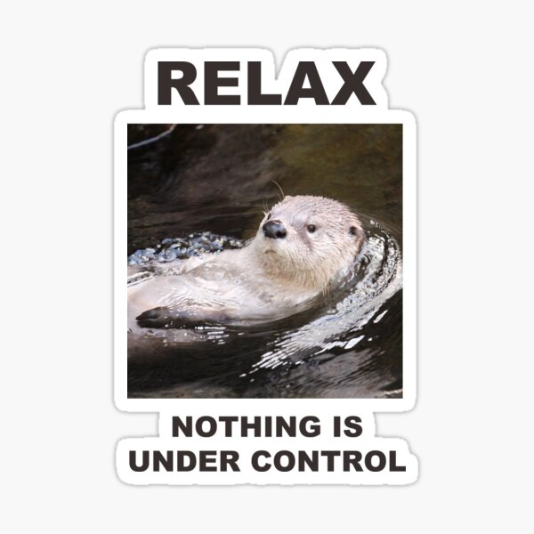 Artikel-Vorschau von Entspannen Sie sich Nichts ist unter Kontrolle - Cute Otter, designt und verkauft von DilloStudios.
