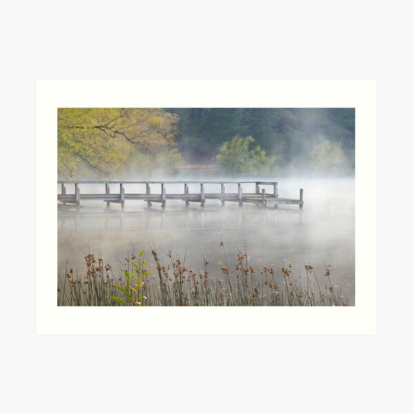 Daylesford Dreaming Art Print