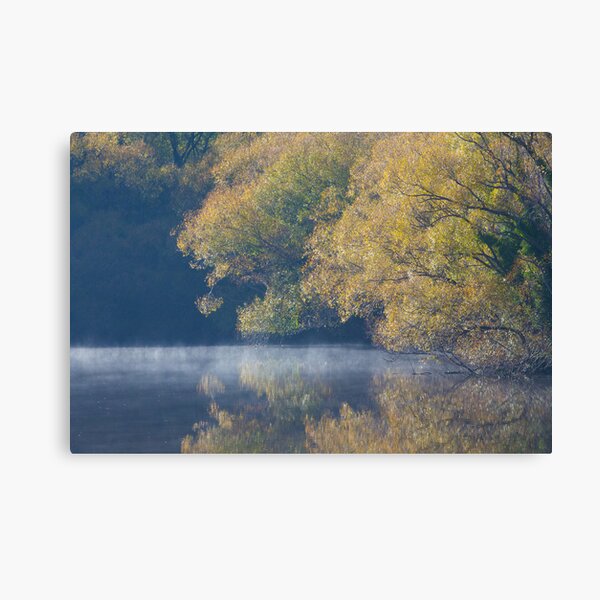A Tree for all Seasons Canvas Print