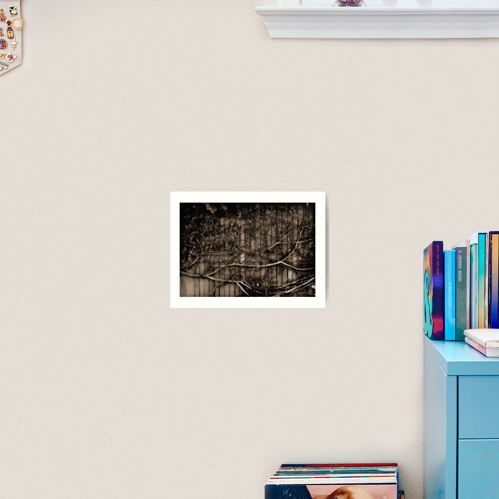 Fence & creeper Art Print