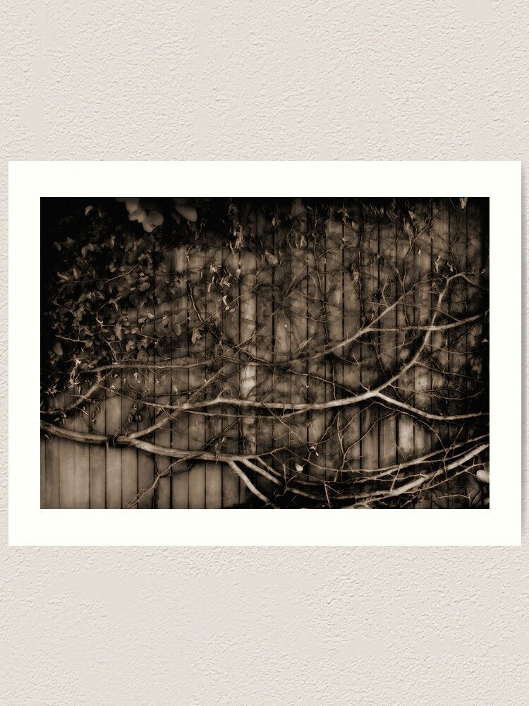 Alternate view of Fence & creeper Art Print
