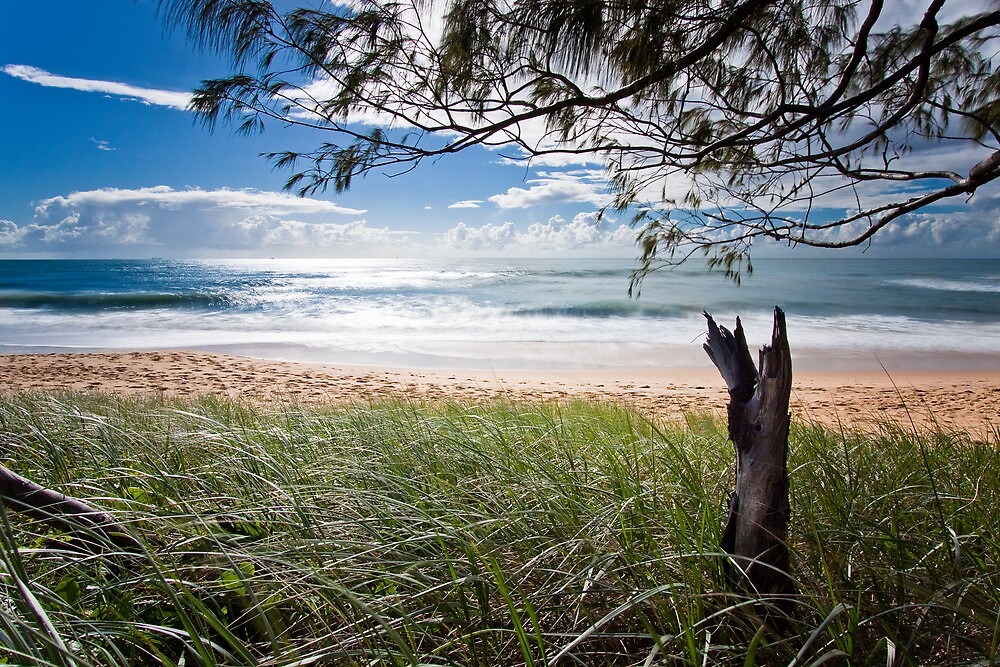 ""Early Morning" Shelly Beach, Caloundra" by HeatherLee Reid Redbubble