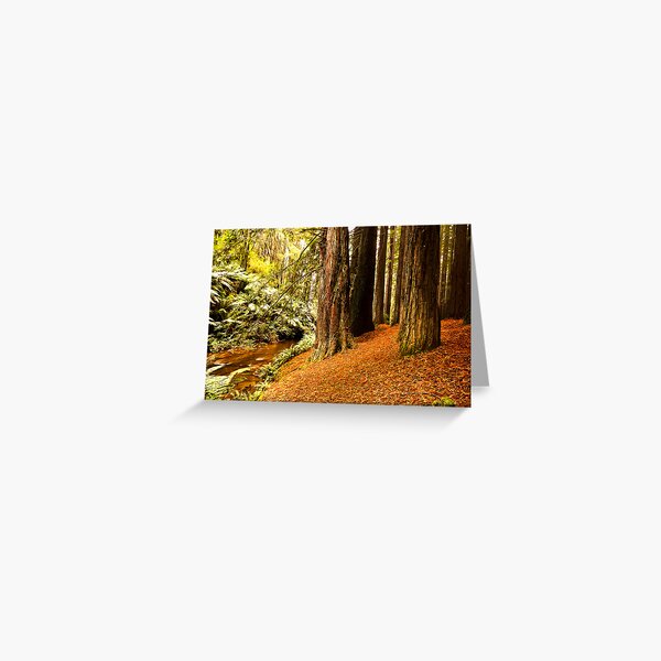 Item preview, Red Woods - Otway's Victoria designed and sold by Graeme Buckland.