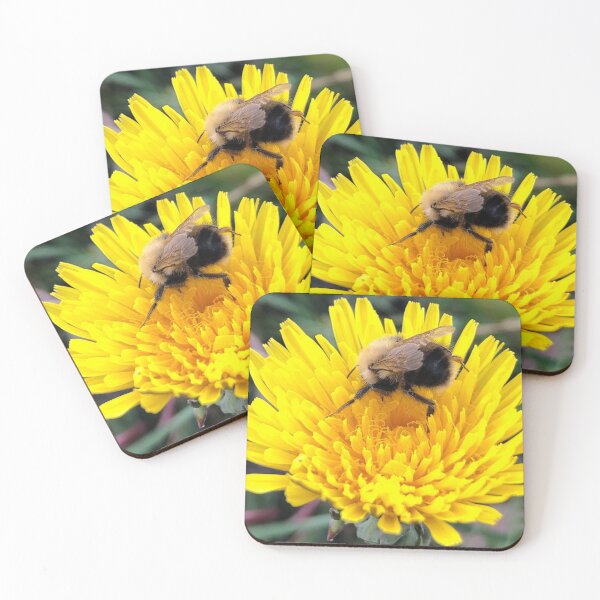 Item preview, Buddy Bee 2 designed and sold by NorthernExposed.