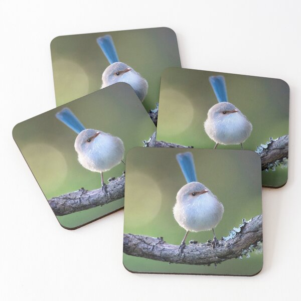 Item preview, Fairywren on a branch designed and sold by gwenthewren.