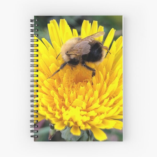 Item preview, Buddy Bee 2 designed and sold by NorthernExposed.