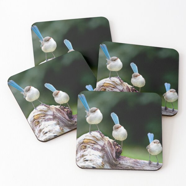 Item preview, A Trio of Fairywrens designed and sold by gwenthewren.