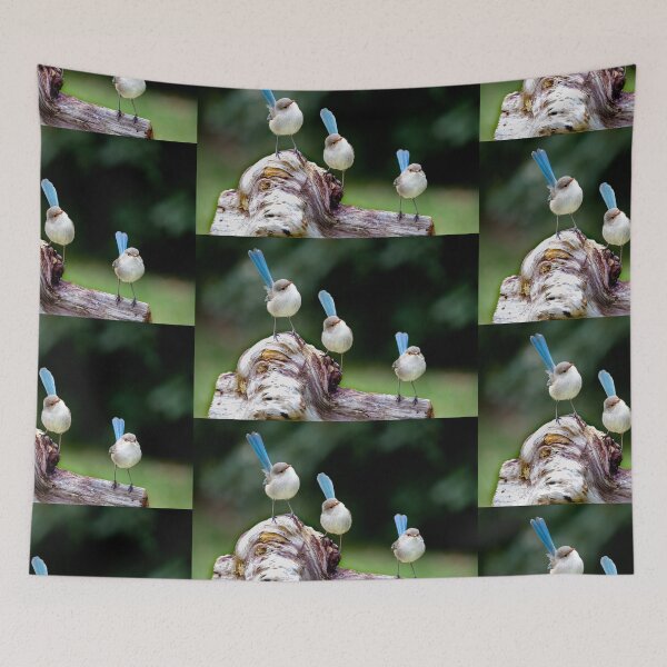 Item preview, A Trio of Fairywrens designed and sold by gwenthewren.