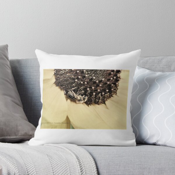 Item preview, Sleeping Honeybee (3) designed and sold by SusanSeamaiden.