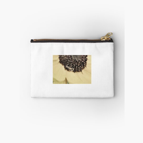 Item preview, Sleeping Honeybee (3) designed and sold by SusanSeamaiden.