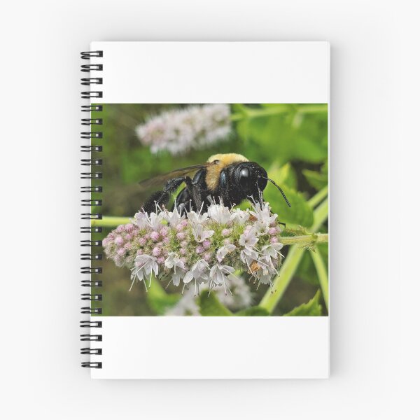 Item preview, Carpenter Bee on Wild Mint designed and sold by SusanSeamaiden.