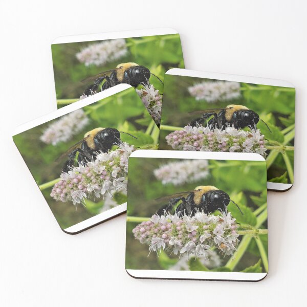 Item preview, Carpenter Bee on Wild Mint designed and sold by SusanSeamaiden.