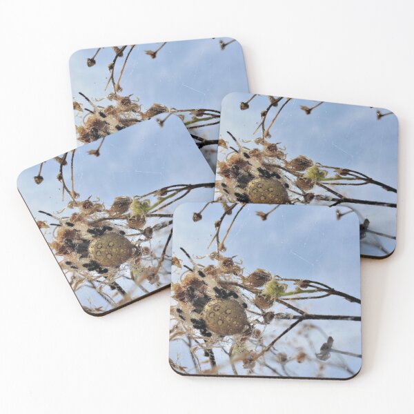 Item preview, Shamrock Spider in her Bower designed and sold by SusanSeamaiden.