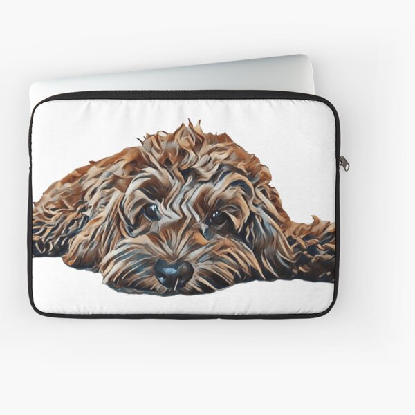 Chocolate/Brown Cockapoo - White Background Laptop Sleeve