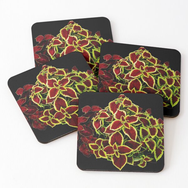 Item preview, Coleus Plants on Black Background designed and sold by BlueMoonRose.