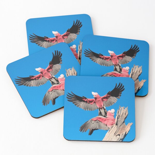 Item preview, Springtime Galahs designed and sold by Phillip Weyers.